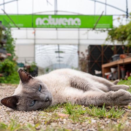 Naturena Agro-Turismo Durraes Екстер'єр фото