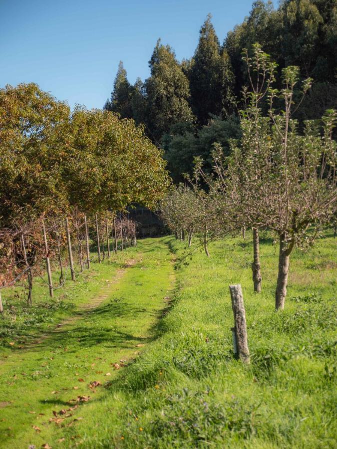Naturena Agro-Turismo Durraes Екстер'єр фото