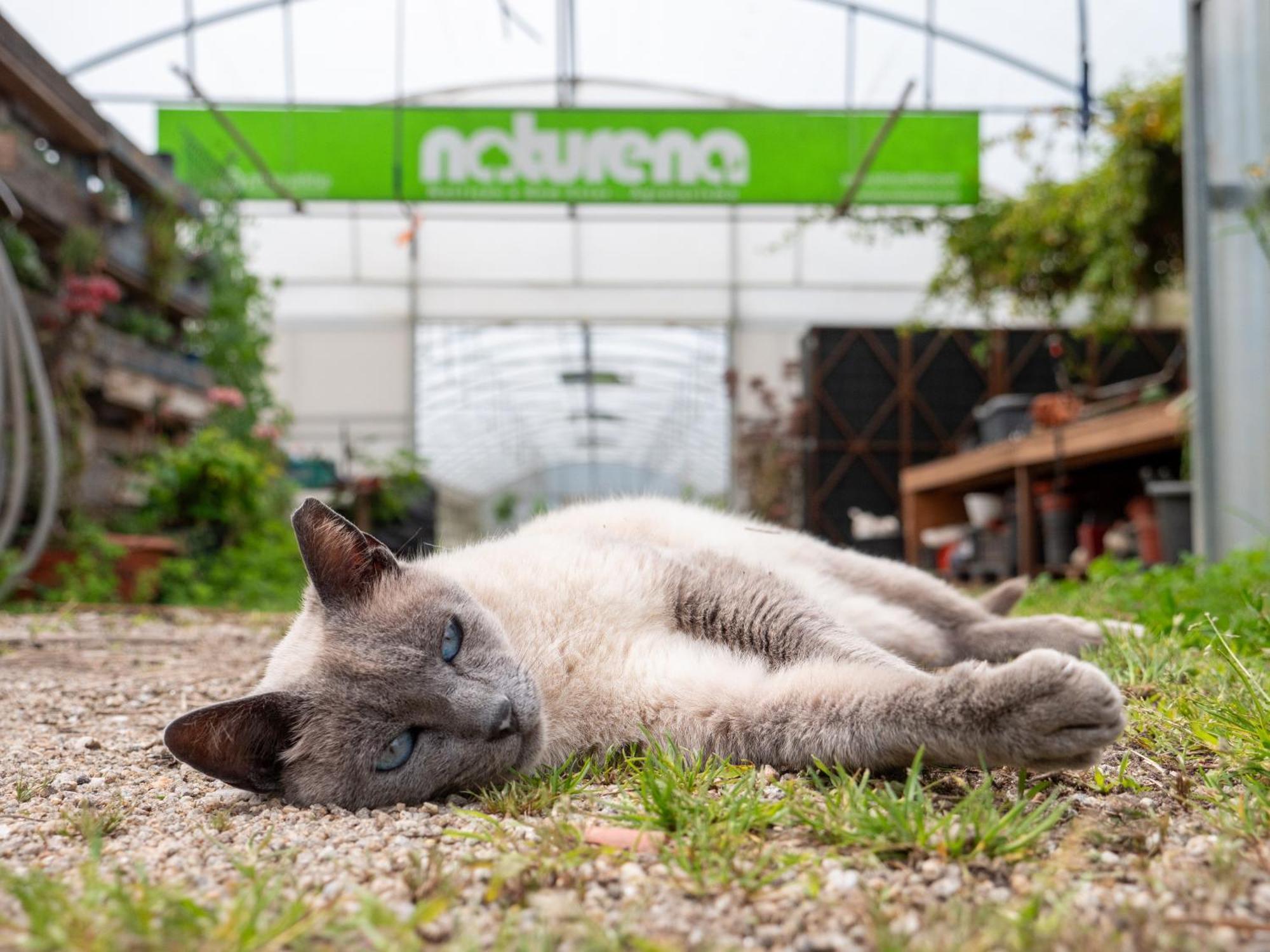 Naturena Agro-Turismo Durraes Екстер'єр фото